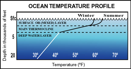 ocean temperature climate layer depth profile biome water marine layers temp mixed zone graphs thermocline aquarius weebly increases which showing